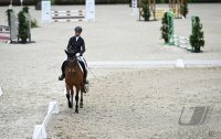 Reiten Turnier Tuebinger Reitgesellschaft