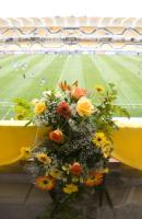 Fussball Frauen FIFA U 20  WM  2008      Vorrunde 