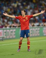 Fussball International Europameisterschaft 2012, Finale: Spanien - Italien