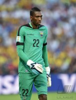 FUSSBALL WM 2014, Gruppenphase: Ecuador - Frankreich