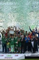 Fussball 1. Bundesliga 08/09  Meister  VfL Wolfsburg