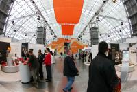 Fussball  International WM Auslosung