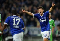 Fussball 1. Bundesliga Saison 2012/2013: FC Schalke 04 - VfL Wolfsburg