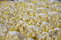 Fussball International  U 20 WM CHI-AUT