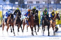Pferdesport: White Turf  St. Moritz 2022