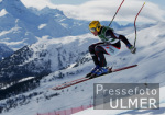 SKI  WM 2003  St.Moritz Abfahrt Herren Training