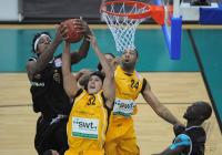1. Basketball Bundesliga  09/10  Walter Tigers - Mitteldeutscher BC