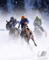 Pferdesport: White Turf  St. Moritz 2022