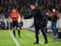 Fussball 1. Bundesliga Saison 15/16: VfB Stuttgart  - Hamburger SV