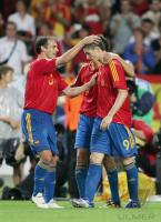 Fussball WM 2006 Spanien - Tunesien
