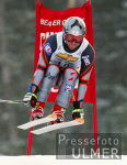 SKI   Weltcup  Abfahrt Herren ; Training; Peter Rzehak (AUT)