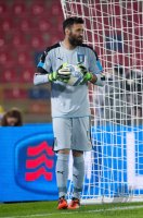 FUSSBALL INTERNATIONAL: Torwart Salvatore Sirigu (Italien)