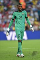 FUSSBALL WM 2014, Gruppenphase: Ecuador - Frankreich