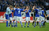 Fussball 1. Bundesliga, Saison 2011/2012: Schalke - Hoffenheim
