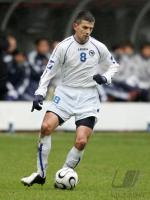 Fussball Int: Nationalmannschaft Bosnien-Herzegowina, GRUJIC