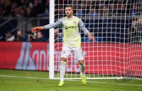 Fussball CHL 18/19 Gruppenphase: TSG 1899 Hoffenheim - Olympique Lyon