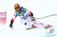 Ski Alpin  Herren Abfahrt Wengen