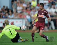 Fussball 1. Bundesliga  Saison 2010/2011  Testspiel VfB Stuttgart - TSG Oehringen