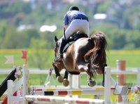 Reiten Horb-Nordstetten Turnier Mai 2012