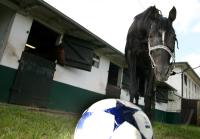 Rennbahn in Koeln Weidenpesch