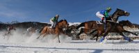 Pferdesport:  White Turf  St. Moritz 2011   Flachrennen