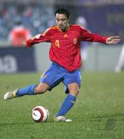 Fussball  International WM Quali Slowakei-Spanien