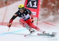 Ski Alpin  Herren Lake Louise  CAN