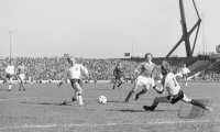 Fussball WM 1978 Oesterreich-Deutschland: Rummenigge, Koncilia, Prohaska