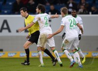 Fussball  1. Bundesliga  13/14: TSG 1899 Hoffenheim - SV Werder Bremen