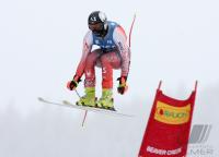 Ski Alpin  Herren Abfahrt Beaver Creek