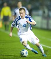 Fussball WM  2010  Qualifikation: Slowakei - Slowenien