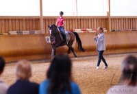 Reiten: Stuttgart German Masters, Turnierbotschafterin Isabell Werth