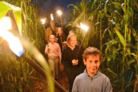 11. Maislabyrinth Neustetten-Wolfenhausen