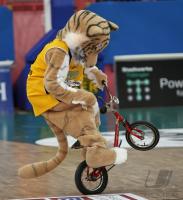 Bsaketball 1. Bundesliga  Walter Tigers Tuebingen -  TBB Trier