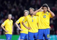 Fussball WM  2010  Qualifikation:  Daenemark - Schweden