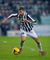 FUSSBALL SERIE A 2013/2014: Fernando Llorente (Juventus Turin)