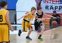 Basketball 1. Bundesliga 14/15 Hauptrunde:  Walter Tigers Tuebingen - TBB Trier