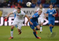 Fussball  1. Bundesliga  13/14: TSG 1899 Hoffenheim - SV Werder Bremen