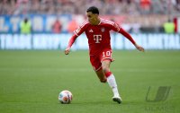 Fussball  1. Bundesliga   Saison 2025/2026     34. Spieltag  FC Bayern Muenchen - 1. FC Koeln