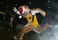 Basketball 1. Bundesliga Walter Tigers Tuebingen  - Sellbytel Nuernberg