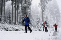 Schmuckbild, Wintersport, Skilanglauf auf dem Kniebis in Baiersbronn
