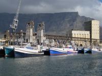 LAND UND LEUTE  FUSSBALL WM 2010