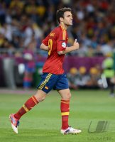 Fussball International Europameisterschaft 2012, Finale: Spanien - Italien