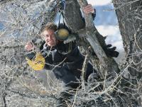 Olympische Spiele 2006 Turin  Abfahrt Damen