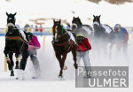 REITSPORT White Turf St. Moritz Skikjring; Feature