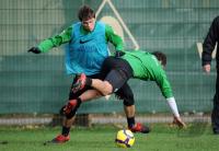 FUSSBALL, Training SV Werder Bremen am 12.11.2009 in Bremen