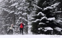 Schmuckbild, Wintersport, Skilanglauf auf dem Kniebis in Baiersbronn