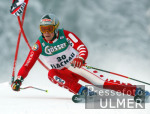 Ski Weltcup Flachau Riesentorlauf Herren - Fill in Aktion