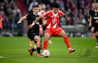 Fussball 1. Bundesliga  Saison  2025/2026  12. Spieltag 
FC Bayern Muenchen - FC St. Pauli