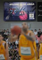 1. Basketball Bundesliga  09/10  Walter Tigers - Mitteldeutscher BC